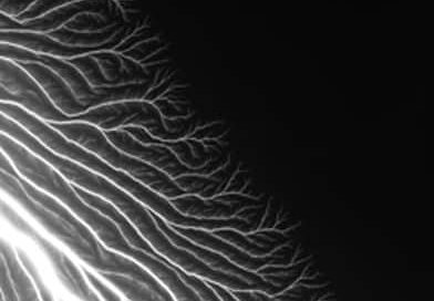 Lightning Fields 304 by Hiroshi Sugimoto