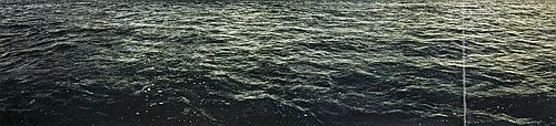 Seascape by Doug + Mike Starn