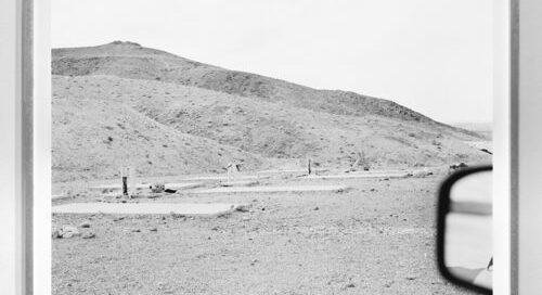Untitled (Domesticated Land) by Susan Lipper